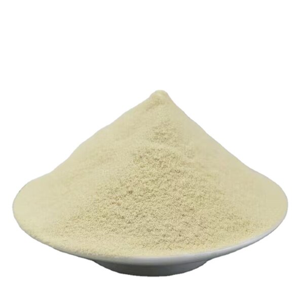 Apple Powder Manufacturer - Premium 100% Pure Natural Apple Powder Fiber Vitamin C