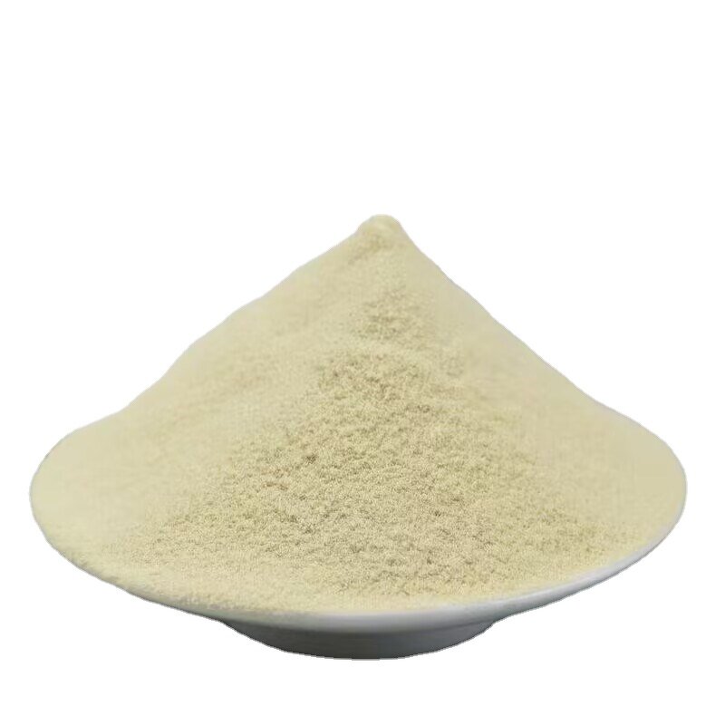 Apple Powder Manufacturer - Premium 100% Pure Natural Apple Powder Fiber Vitamin C