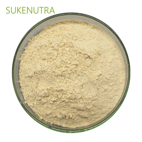 Brown Rice Protein Powder Manufacturer - Organic Brown Rice Protein Powder