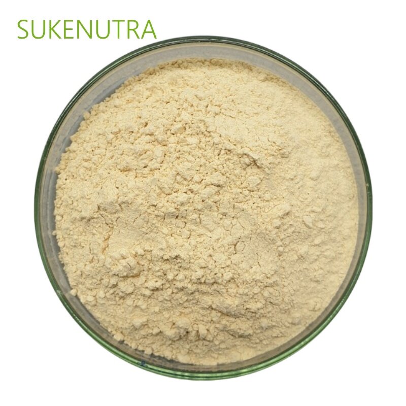 Brown Rice Protein Powder Manufacturer - Organic Brown Rice Protein Powder