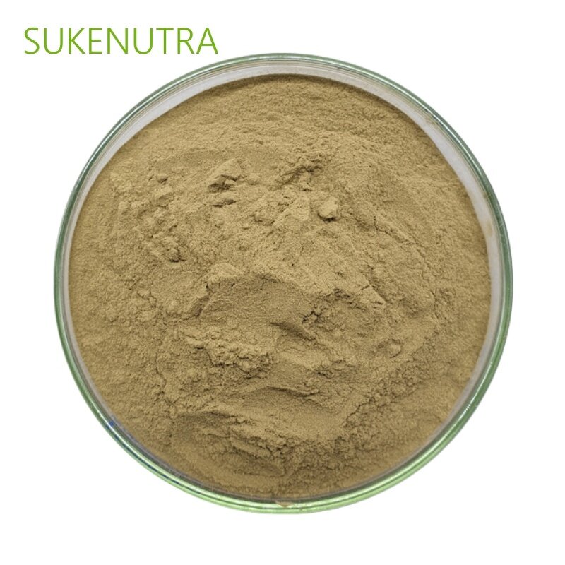 Green Lipped Mussel Powder Manufacturer - Factory Wholesale Lyophilized Green Lipped Mussel Powder