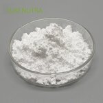 Green Tea Extract Powder Manufacturer - Wholesale 90% EGCG Antioxidant Supplement