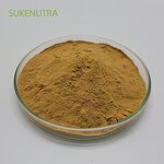 Willow Bracket Mushroom Extract Manufacturer - Factory Wholesale 30% Polysaccharide Extract Powder