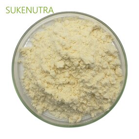 Bromelain Powder Manufacturer - 1200GDU Proteolytic Enzyme for Nutrient Digestion