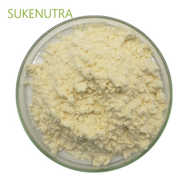 Bromelain Powder Manufacturer - 1200GDU Proteolytic Enzyme for Nutrient Digestion