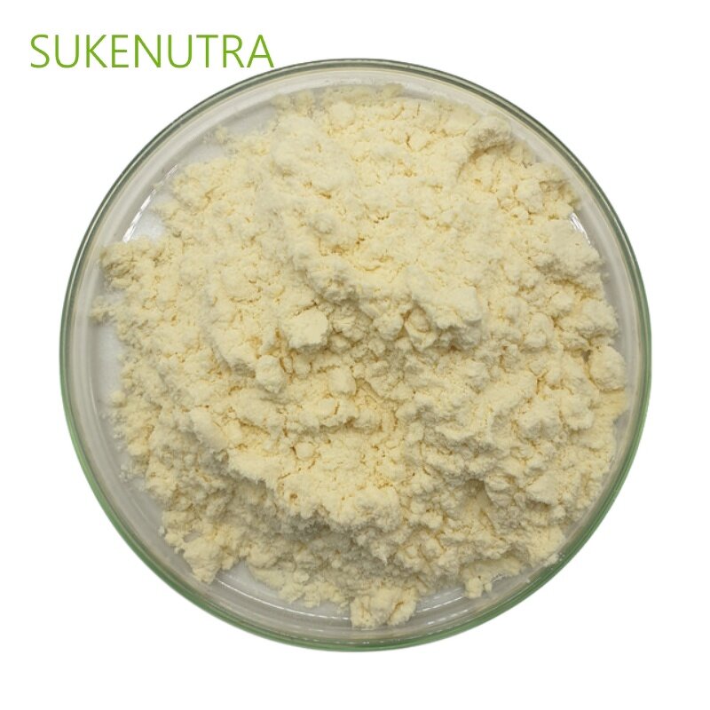 Bromelain Powder Manufacturer - 1200GDU Proteolytic Enzyme for Nutrient Digestion
