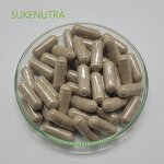 White Button Mushroom Extract Manufacturer - High Quality Natural Extract Powder