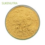 Shiitake Mushroom Extract Manufacturer - Factory Wholesale Best Price Extract Powder