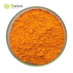 Turmeric Curcumin Capsules Manufacturer - With BioPerine 95% Black Pepper Joint Support