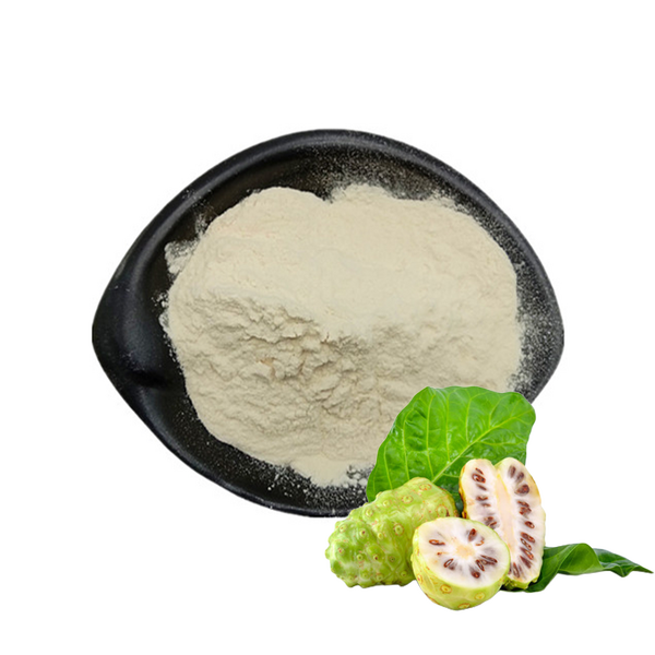 Noni Fruit Extract Powder Manufacturer - Wholesale Pure Noni Fruit Extract for Health Supplement
