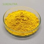Berberine Hcl Powder Manufacturer - Factory Supply 97% Berberine Hydrochloride Custom Support