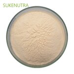 Papaya Juice Powder Manufacturer - OEM Packing No Additives Papaya Juice Powder