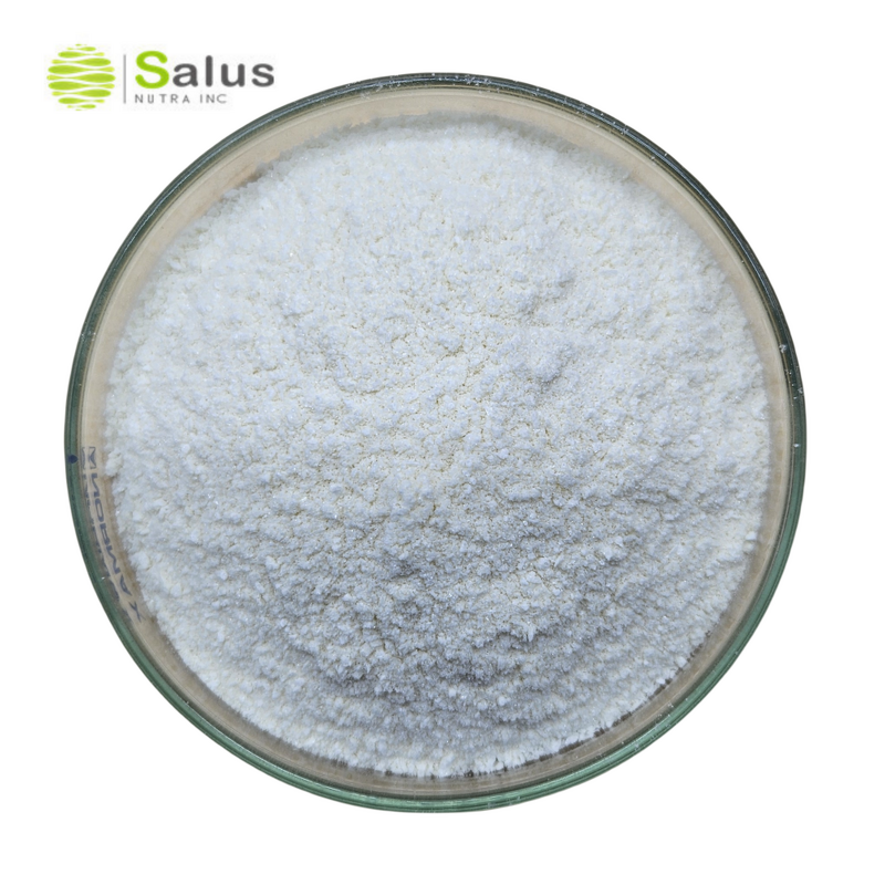 Chicken Undenatured Type II Collagen Manufacturer - Best Price Undenatured Type II Collagen