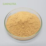 Ashwagandha Extract Capsules Manufacturer - ISO22000 HALAL Certified Ashwagandha Supplement