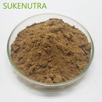 Cistanche Deserticola Extract Powder Manufacturer - 10% 98% Verbascoside Echinacoside HPLC