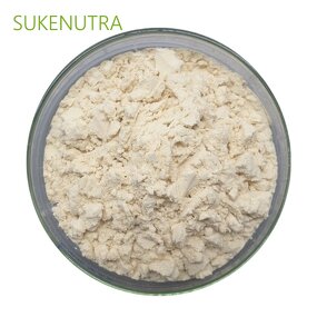 Chickpea Protein Isolate Manufacturer - High Quality Chickpea Protein Isolate
