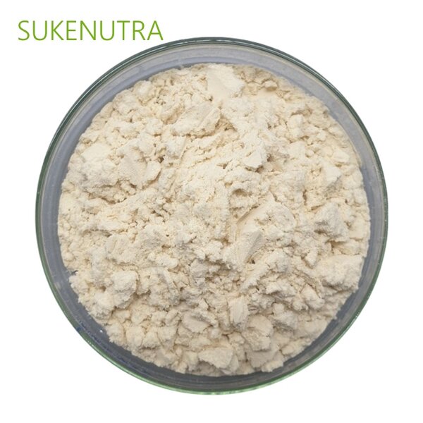 Chickpea Protein Isolate Manufacturer - High Quality Chickpea Protein Isolate