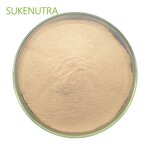 Noni Fruit Powder Manufacturer - No Additives Noni Fruit Extract Powder