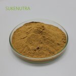 Auricularia Polytricha Extract Manufacturer - Natural 30% Polysaccharide Extract Powder