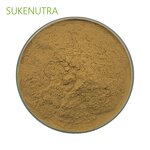 Shiitake Mushroom Extract Manufacturer - Hot Sale Lentinan 30% Extract Powder