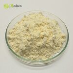Bromelain Powder Manufacturer - 1200GDU Proteolytic Enzyme for Nutrient Digestion