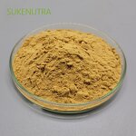 Shiitake Mushroom Extract Manufacturer - Factory Wholesale Best Price Extract Powder