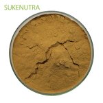 Lion's Mane Mushroom Extract Manufacturer - OEM 30% 50% Extract Powder OEM Service