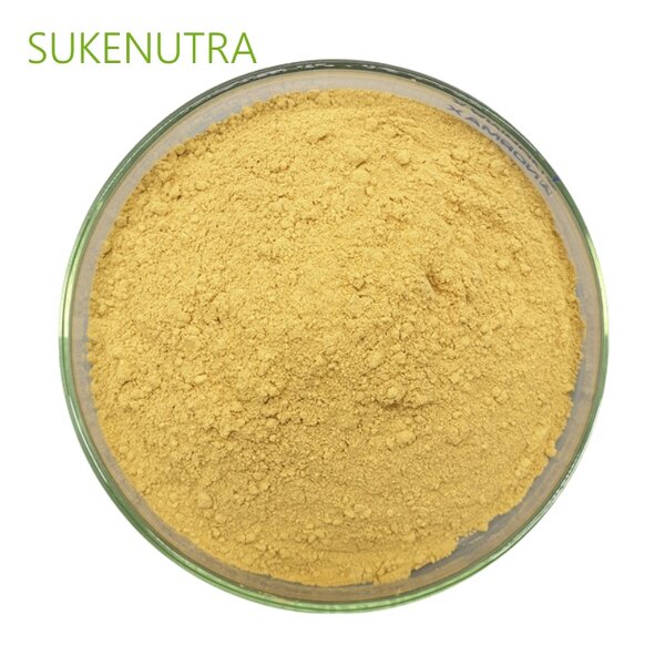 Papaya Powder Manufacturer - Premium Natural Papaya Powder Digestion Skin Care Food Grade
