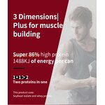 Probiotic Instant Tea Powder Manufacturer - Factory Direct Peach Mango Flavored, Digestion Support Adult Healthy