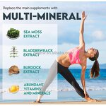 Herbal Extract Capsules Manufacturer - All-in-One Shilajit/Rhodiola Rosea/Ginseng/Ashwagandha, Private Label