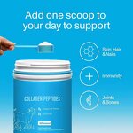 Whey Protein Powder Manufacturer - High Sport Gym, Health Food Grade Muscle Building, Wholesale for Adults & Children