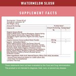 Watermelon Powder Manufacturer - Organic Mixed Antioxidant, Manufacturer Wholesale for Adults, Not for Pregnant Women