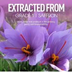 Creatine Monohydrate Gummy Candy Manufacturer - Hot Selling 5g Pre-Workout, 120 Count Adults Energy Boosting