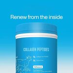 Whey Protein Powder Manufacturer - High Sport Gym, Health Food Grade Muscle Building, Wholesale for Adults & Children