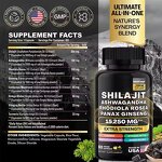 Shilajit Resin Extract Capsules Manufacturer - OEM Himalayan Ashwagandha/Rhodiola Rosea/Ginseng for Adults