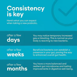 Probiotics Capsules Manufacturer - Hot Sale Immune Digestive Support, 60 Billion CFU for Adults