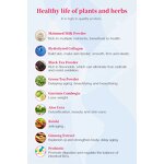 Collagen Milk Tea Powder Manufacturer - Private Label Women's Skin Whitening, Dosage for Pregnant Women