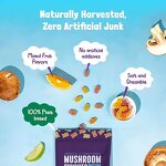 Apple Cider Vinegar Gummy Candy Manufacturer - Organic Adult Vitamin, Detox Figure Management, Custom Flavor