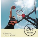 Probiotic Instant Tea Powder Manufacturer - Factory Direct Peach Mango Flavored, Digestion Support Adult Healthy