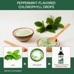 Creatine Sports Gummy Manufacturer - OEM ODM Gym-Specific Sugar-Free, Beauty Product for Sports Nutrition