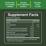 Keto Gummies Manufacturer - Slimming Green Tea Fat Burner, 60-count for Adults Men & Women