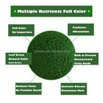 Spirulina Softgel Capsule Manufacturer - High Dose Promote Blood Circulation Improve Brain Function