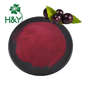 Acai Berry Powder Manufacturer - Hot Sale Factory Supply 100% Acai Berry Juice Powder