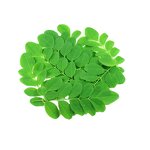 Lycopodium Spore Powder Manufacturer - Healthway Pure Natural Lycopodium Spore Powder