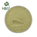 Scutellaria Baicalensis Extract Manufacturer - Natural Baicalein Extract 85% Baicalein