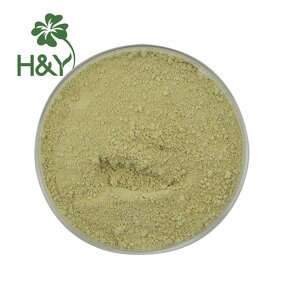 Scutellaria Baicalensis Extract Manufacturer - Natural Baicalein Extract 85% Baicalein