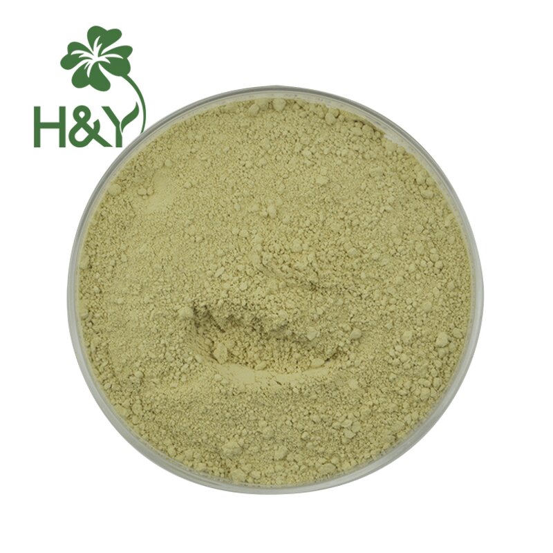 Scutellaria Baicalensis Extract Manufacturer - Natural Baicalein Extract 85% Baicalein