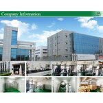 Ashwagandha Extract Manufacturer - Halal High Quality Ashwagandha Extract Powder Wholesale