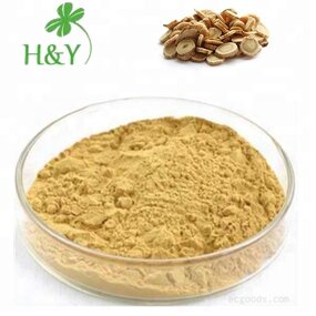 Moringa Powder Manufacturer - High Quality Moringa Oleifera Powder Capsule Best Price