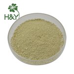 Scutellaria Baicalensis Extract Manufacturer - Natural Baicalein Extract 85% Baicalein